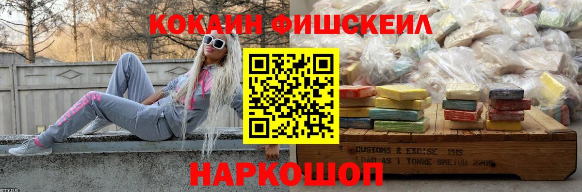 COCAIN Fish Scale  COCAIN  COCAIN Fish Scale  Артёмовский 