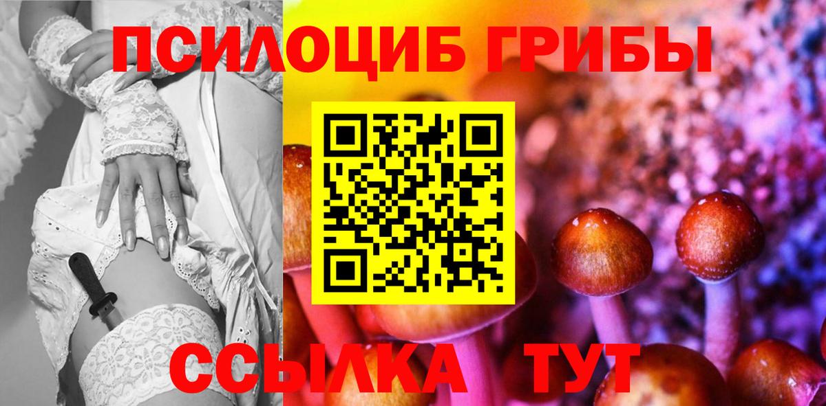 Артёмовский  Галлюциногенные грибы MAGIC MUSHROOMS  Вход с VPN 