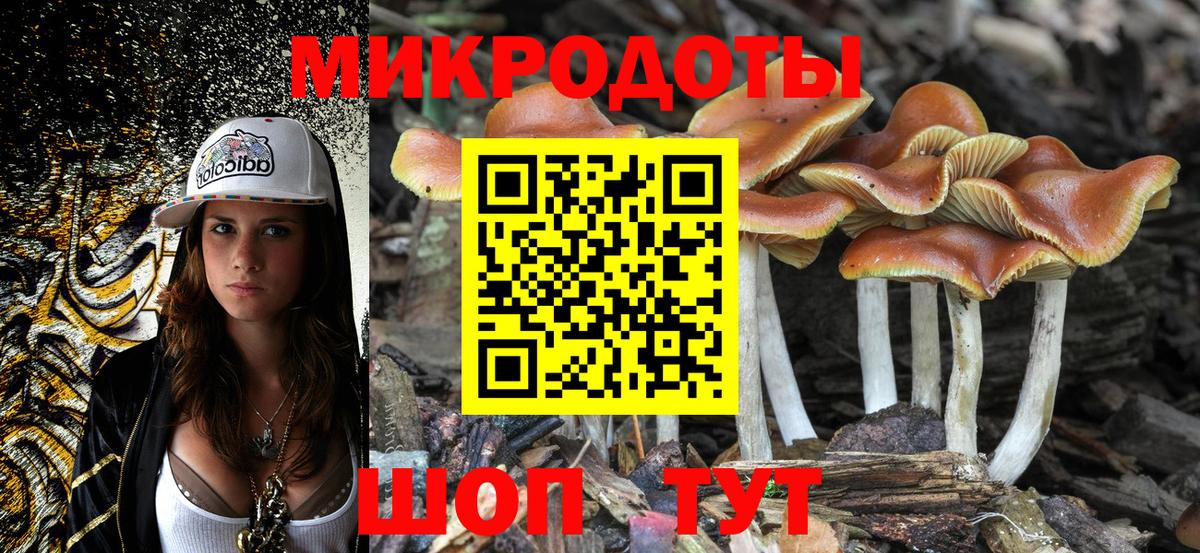 Псилоцибиновые грибы мицелий  Артёмовский 